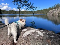 IMG_4794