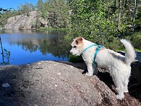 IMG_4797