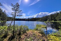 IMG_4816