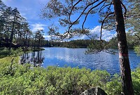 IMG_4835