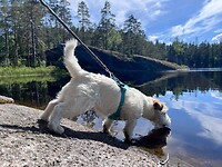IMG_4839