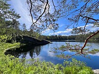 IMG_4843