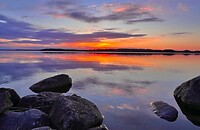 IMG_4890