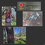 IMG_4930