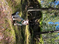 IMG_7398