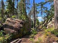 IMG_7406