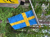 IMG_4947