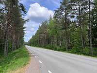 IMG_4948