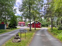 IMG_4950