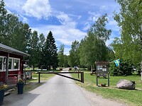 IMG_4951