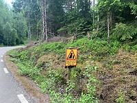 IMG_4966