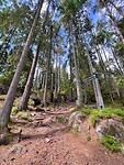 IMG_4976