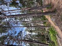 IMG_4983