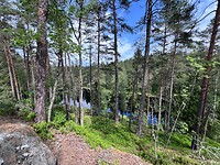 IMG_4984