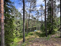 IMG_4985