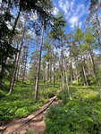 IMG_4987