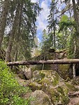 IMG_4995