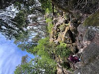 IMG_5006