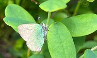 IMG_5053