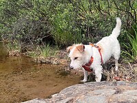IMG_5075