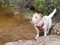 IMG_5077