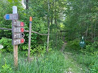 IMG_5101