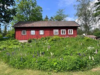 IMG_5106