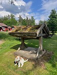 IMG_5108