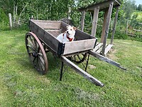 IMG_5123