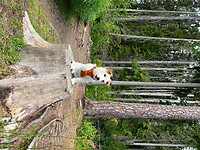 IMG_7506