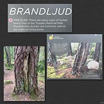 IMG_5155