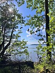 IMG_5211