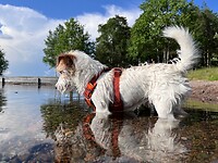IMG_5246