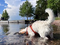 IMG_5248