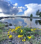 IMG_5267