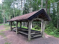 IMG_5295