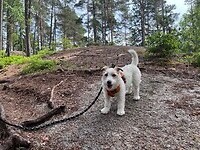 IMG_5323