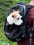 IMG_5355