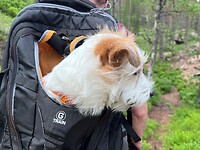 IMG_5359