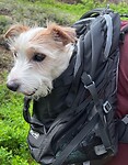 IMG_5361