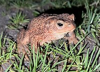 IMG_5465