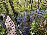 IMG_5484