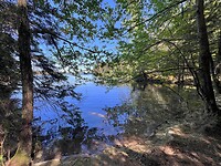 IMG_5502