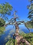 IMG_5507