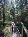 IMG_5487