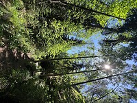 IMG_5492
