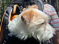 IMG_5511