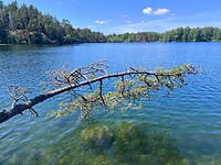 IMG_5520