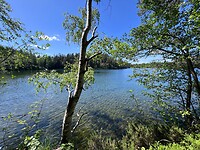 IMG_5519