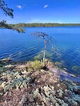 IMG_5523